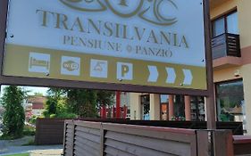 Pensiunea Transilvania